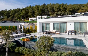 Villa Mercury 9
