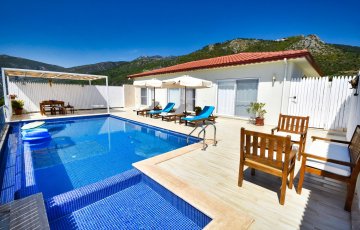 Villa Zeytin 2025