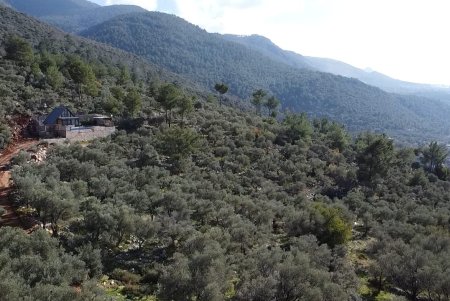 Panoramik Patara mazaralı arsa 